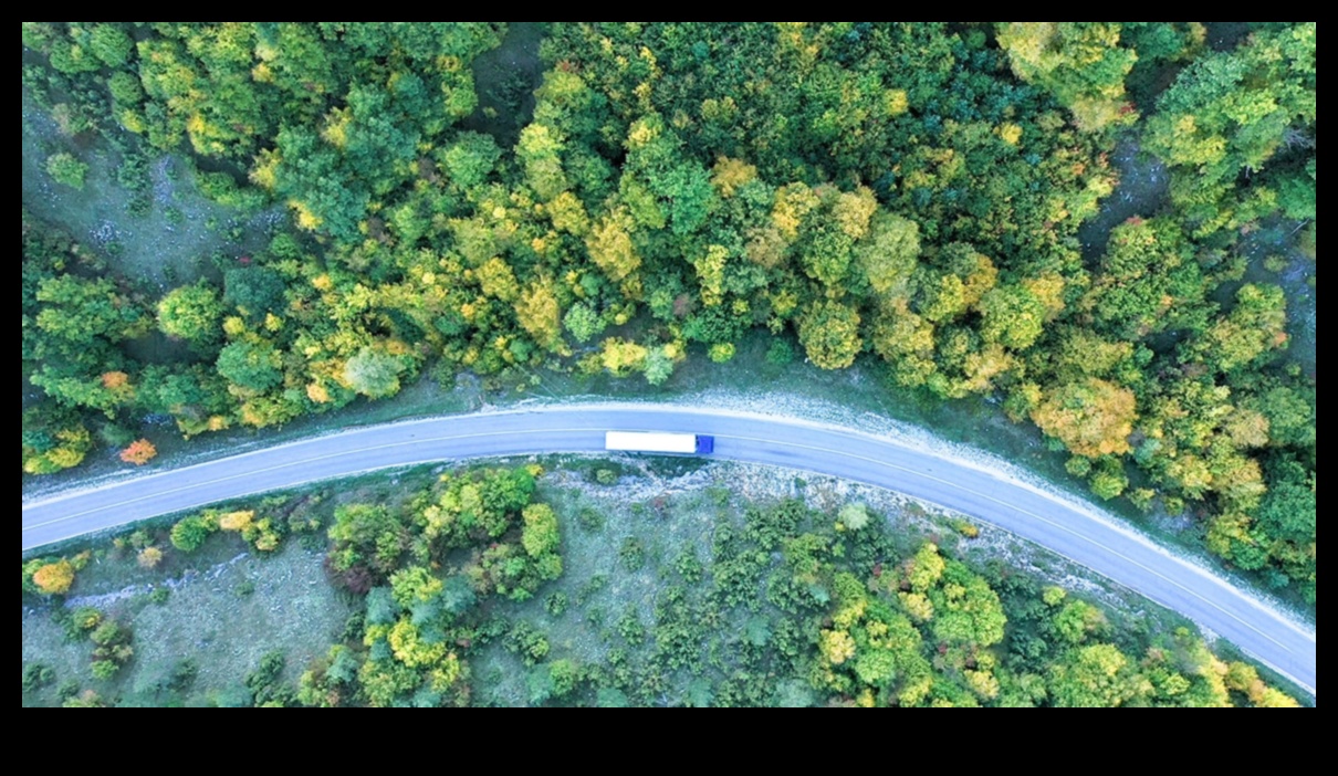 Autostrăzi verzi: Croazieră cu conștiință de mediu în hibrizi