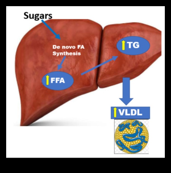 Dietele stilului de viață și profilurile lipidelor din sânge: o viziune cuprinzătoare