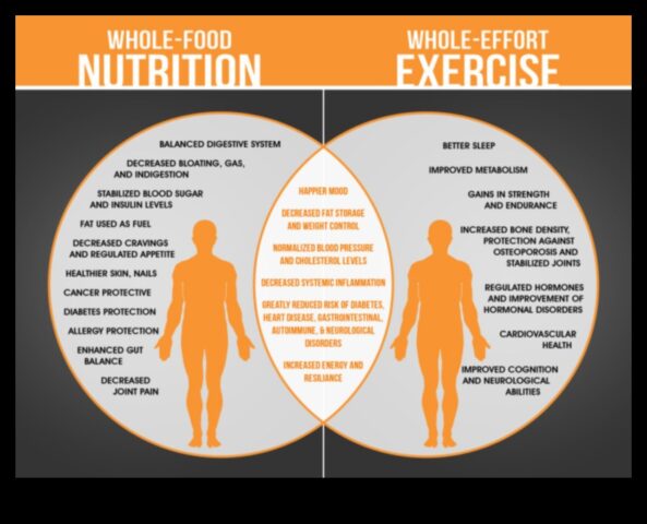 Beneficiile dietelor pe termen scurt și ale exercițiilor fizice