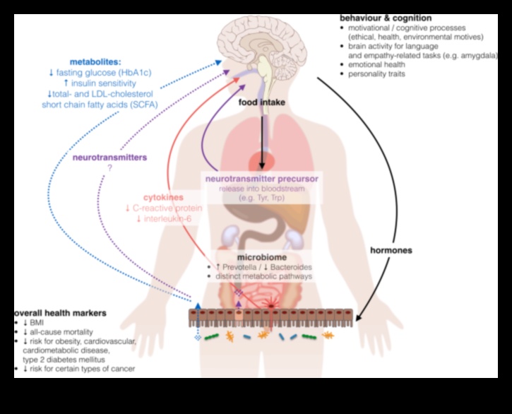 Vegetarianismul și echilibrul hormonal: perspective și sfaturi