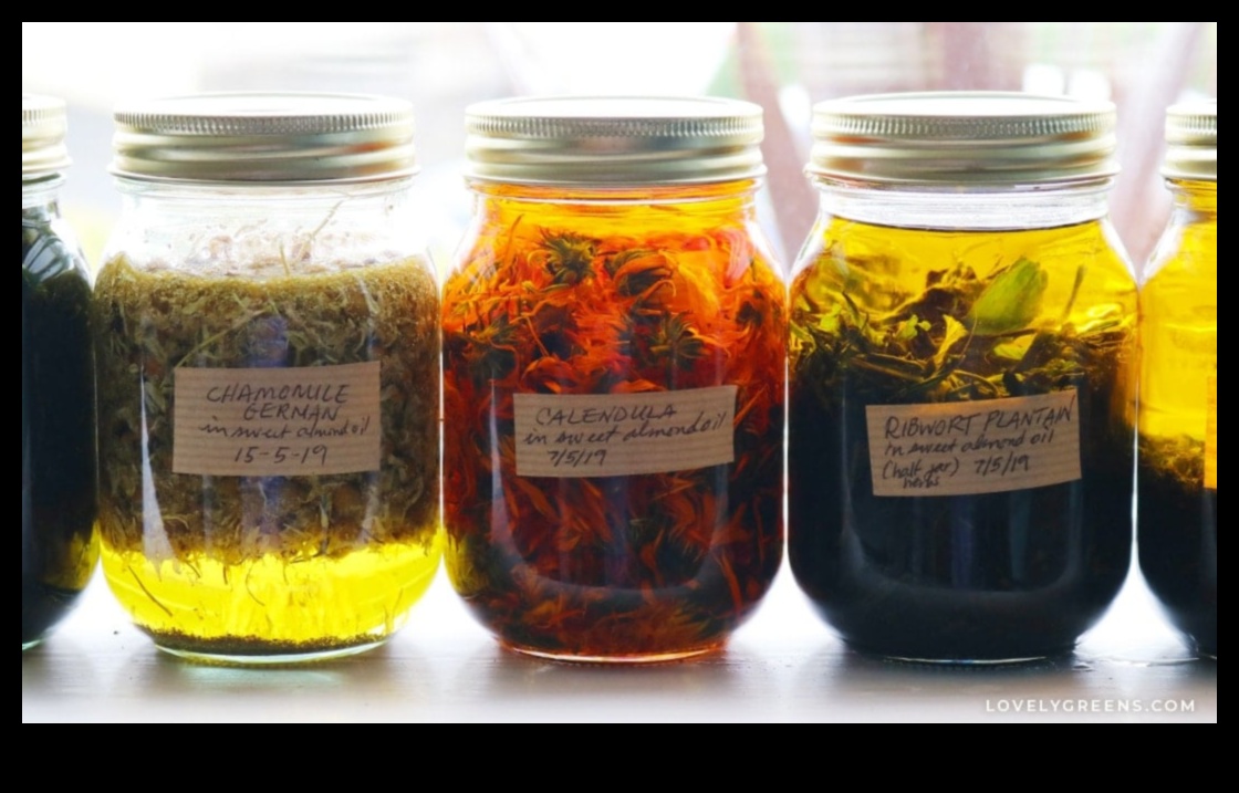 Infuzie florală: explorarea influenței botanicilor în machiajul natural