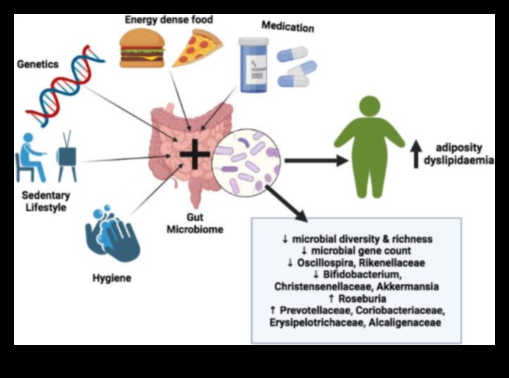 Dietele cu conținut scăzut de grăsimi și microbiomul intestinal: o relație simbiotică